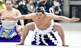 Võ sĩ Harumafuji Kohei gốc Mông Cổ đoạt danh hiệu Yokozuna của năm 2014.