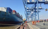 Cảng Sài Gòn liệu có về tay Vingroup.