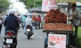 Vải thiều đổ bộ Sài Gòn, sức mua khá tốt
