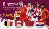 Thông tin 32 đội tuyển dự World Cup 2022: Bảng F