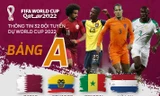 Thông tin 32 đội tuyển dự World Cup 2022: Bảng A