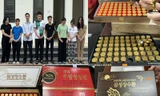 Phá đường dây sản xuất, tiêu thụ hàng chục nghìn hộp 'an cung ngưu hoàng hoàn' giả 