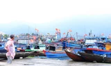 Tàu thuyền neo đậu san sát ở cảng cá lớn nhất miền Trung trước giờ bão đổ bộ