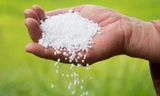 Với đà tăng giá thế giới như hiện nay, khả năng tác động, khiến giá phân bón Urê trong nước sẽ biến động tăng