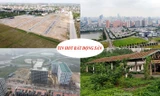 Ồ ạt đấu giá đất, lãi suất cho vay mua nhà rẻ nhất 