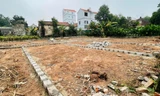 Giao dịch tăng nhưng giá đất nền 'ăn theo' Vành đai 4 vẫn đi ngang
