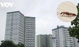 Kiến ba khoang lại 'tấn công' chung cư cao tầng ở TPHCM