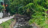 Mương nước thải hôi thối bủa vây người dân ở thôn Vĩnh Ninh (xã Vĩnh Quỳnh, huyện Thanh Trì, Hà Nội).