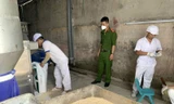 Khởi tố vụ án Công ty CP sữa Hà Lan sản xuất sữa bột kém chất lượng