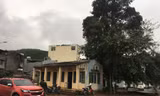 Trạm kiểm soát liên ngành luôn có người túc trực chỉ nằm cách điểm vận chuyển hàng lậu chưa đầy 50m. 