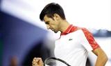 Djokovic quyết sớm trở lại ngôi vương 
