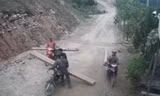 Lâm tặc chở gỗ từ rừng ra. Ảnh: Nguyễn Ngọc (cắt từ clip) 