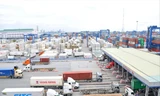 Cảng Cát Lái vẫn ùn tắc nghiêm trọng vì hàng nghìn container phế liệu tồn đọng chưa được giải quyết dứt điểm. Ảnh: Tuấn Nguyễn 