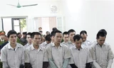 Nhóm thanh niên lêu lổng trộm sưa xuyên miền Bắc