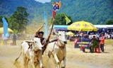 Có gì bên trong Hội đua bò Bảy Núi khiến 2 vạn người đội nắng đến xem?