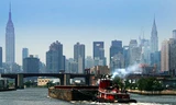 Mỹ: Rệp hút máu ồ ạt tấn công New York