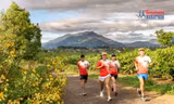 Công bố cung đường chạy Tiền Phong Marathon 2021 
