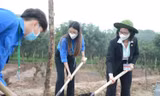 Sinh viên Nông nghiệp hưởng ứng ‘Tết trồng cây’ xuân Nhâm Dần 2022
