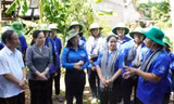 'Chiến dịch Thanh niên tình nguyện Hè 2026' sẽ diễn ra với nhiều hoạt động an sinh, hỗ trợ thanh thiếu nhi