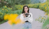 Giới trẻ 'checkin' vườn hoa dã quỳ lớn nhất Thủ đô