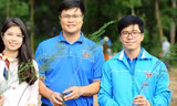 Trung ương Đoàn dự kiến trồng 1 triệu cây xanh trong giai đoạn 2021 - 2025. Ảnh: DƯƠNG TRIỀU