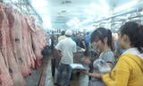 Cận cảnh ‘sàn’ giao dịch thịt heo lớn nhất Sài Gòn