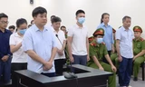 Vụ 'thổi giá cây xanh': Cựu Chủ tịch Hà Nội Nguyễn Đức Chung bị tuyên phạt 18 tháng tù