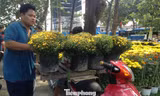 Nếu chịu khó, người chở hoa thuê có thể kiếm tiền triệu mỗi ngày