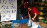 Cá chép bắt đầu sốt giá ngày ông Công ông Táo