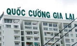 Cổ phiếu Quốc Cường Gia Lai tiếp tục 'lao dốc'
