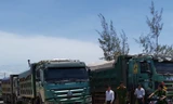 Các xe chở cát cho Công ty Cổ phần Free Land bị lực lượng chức năng bắt giữ vào ngày 11/5