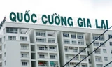 Cố phiếu Quốc Cường Gia Lai tiếp tục giảm sâu, “bốc hơi” hơn 450 tỷ