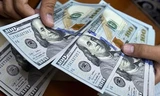 USD dự báo sẽ còn tăng