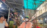 Tuyết mai, đào cành 'đi máy bay' đổ bộ TPHCM, giá chỉ từ vài chục nghìn đồng