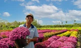 Bất ngờ tại phiên chợ hoa xuân Bình Điền - TPHCM