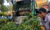 Tiểu thương vứt hàng trăm chậu hoa ế vào xe rác vì sợ 'hôi của'