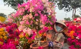Nhộn nhịp chợ hoa Tết 'giá hạt dẻ' ở TPHCM 