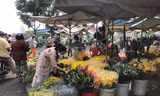 Nhiều loại hoa trái có giá rẻ trong ngày rằm nhưng vắng khách