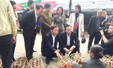 Bộ trưởng Công Thương mua gà, kiểm tra tình hình giá cả thị trường ngày 29 Tết tại Lạng Sơn