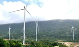 Nhiều dự án điện gió đang chờ... giá sau khi giá FIT hết hạn. 