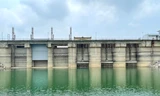 Nhiều hồ thủy điện thoát mực nước chết