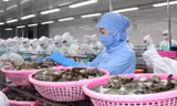 Bộ Công Thương cảnh báo nhập siêu sẽ trở lại trong năm 2019 với con số ước tính 3 tỷ USD