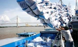  Bộ Công Thương cho hay, đã có báo cáo gửi Thủ tướng về tổng thể các vấn đề liên quan đến những “lùm xùm” xung quanh xuất khẩu gạo