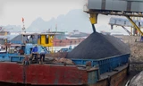 Thiếu 1 triệu tấn than để sản xuất điện