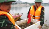 Trục vớt được 32 quả lựu đạn trên sông Đà 