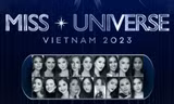 Miss Universe Vietnam 2023 tăng cơ hội đi thi quốc tế, vị trí này sẽ dành cho ai?
