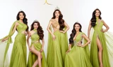 Top 5 Miss Grand Vietnam tung bộ ảnh trước khi kết thúc nhiệm kỳ, nhan sắc giờ ra sao?