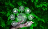 Bán tín chỉ carbon thu về hàng trăm triệu USD/năm, ai được hưởng? 