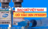 Pfizer nỗ lực để đưa liều vắc xin ngừa COVID-19 đầu tiên về Việt Nam trong tháng 7