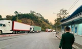 Đầu đầu tiên áp dụng phương thức giao hàng mới, tại cửa khẩu Hữu Nghị mới xuất được 2 xe chở hàng xuất khẩu, ngày 2/3 không xuất được xe nào. Sự ách tắc đang quay trở lại tại cửa khẩu này. Ảnh: Duy Chiến 
